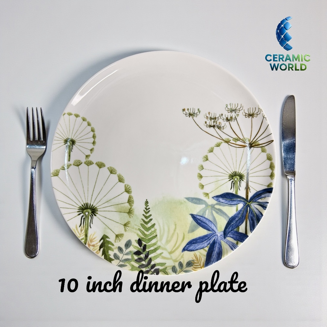 Dinner Plate - 10 inch - 14DP