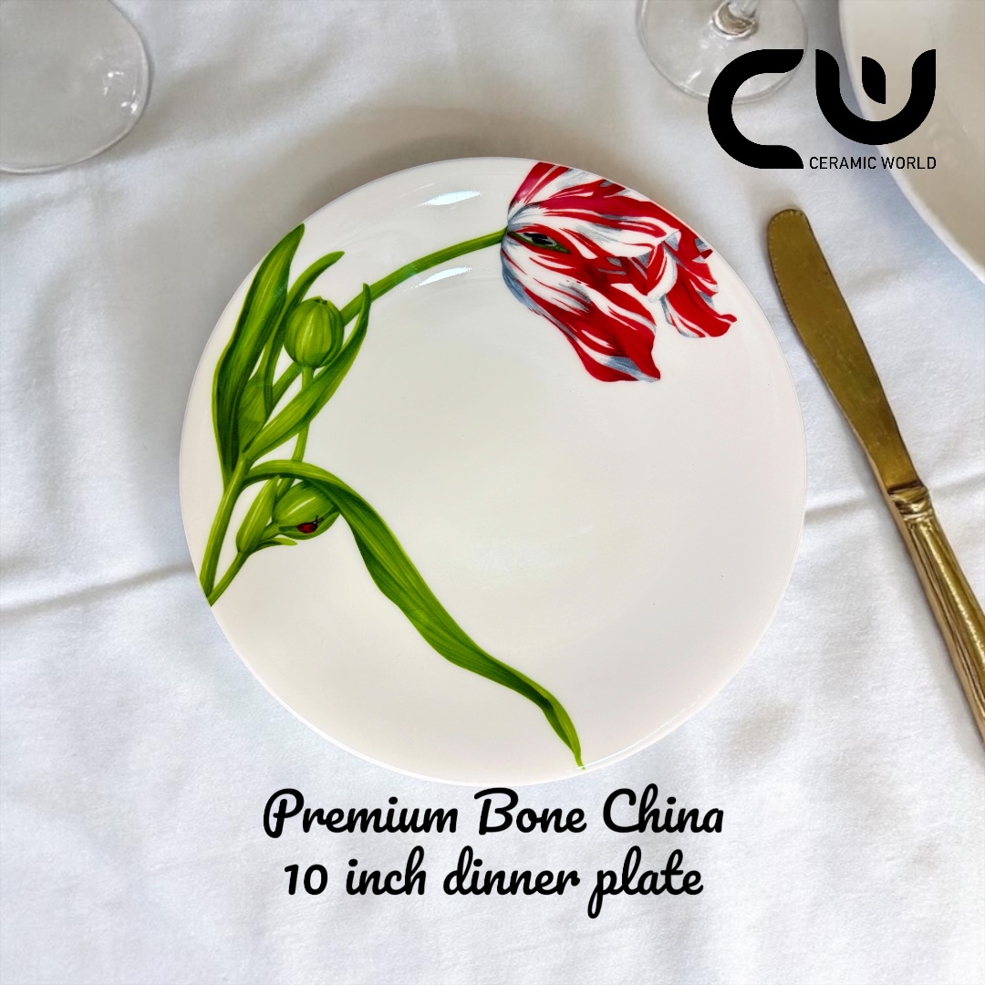 Bone China Dinner Plate - 10 inch - 17DB